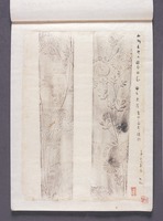 壬申检查相关资料