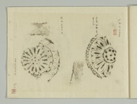 壬申检查相关资料