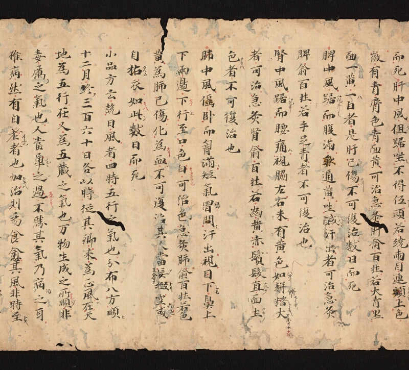 e国宝 - 医心方　巻三　中風部 - ページ 4