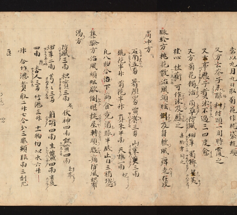 e国宝 - 医心方　巻三　中風部 - ページ 22
