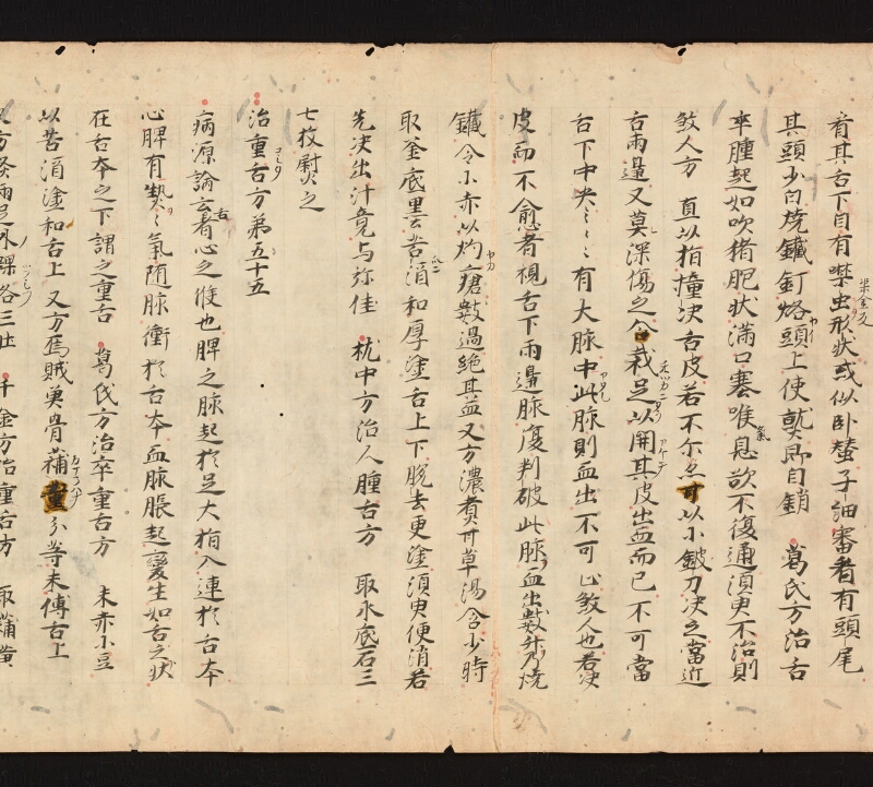 e国宝 - 医心方　巻五　頭面部 - ページ 47