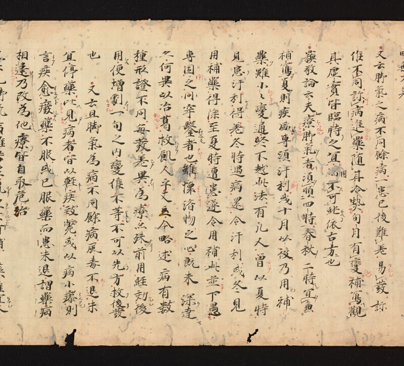 e国宝 - 医心方　巻八　手足部 - ページ 11