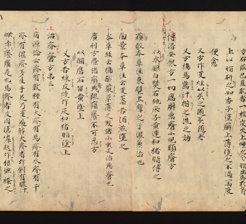 e国宝 - 医心方　巻十七　丹毒瘡部 - ページ 13