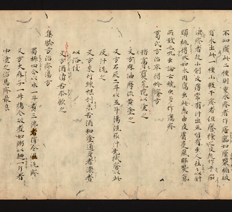 e国宝 - 医心方　巻十七　丹毒瘡部 - ページ 14