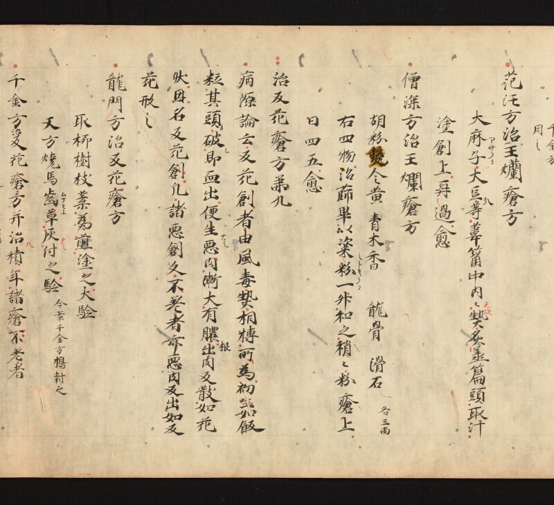 e国宝 - 医心方　巻十七　丹毒瘡部 - ページ 24