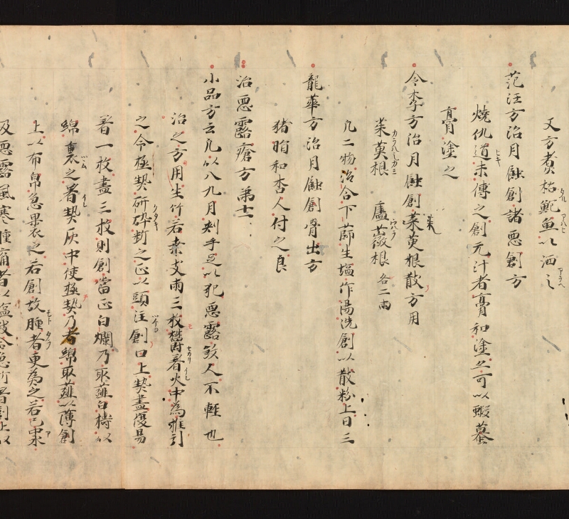 e国宝 - 医心方　巻十七　丹毒瘡部 - ページ 26