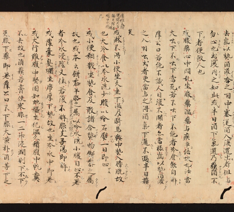 e国宝 - 医心方　巻十九　服石部 - ページ 20