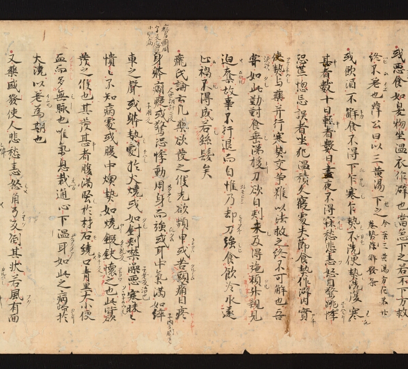 e国宝 - 医心方　巻十九　服石部 - ページ 24