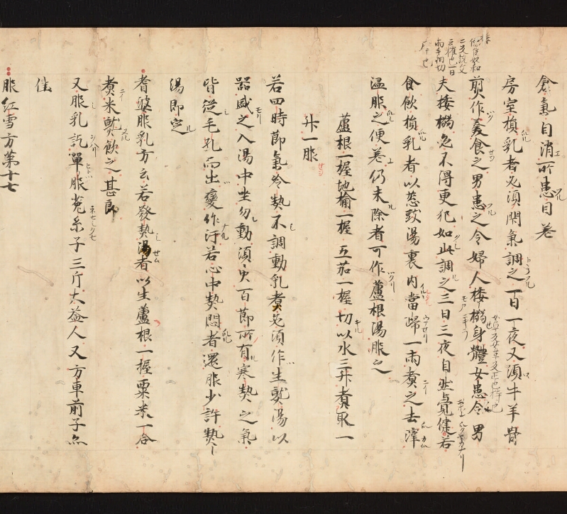 e国宝 - 医心方　巻十九　服石部 - ページ 48