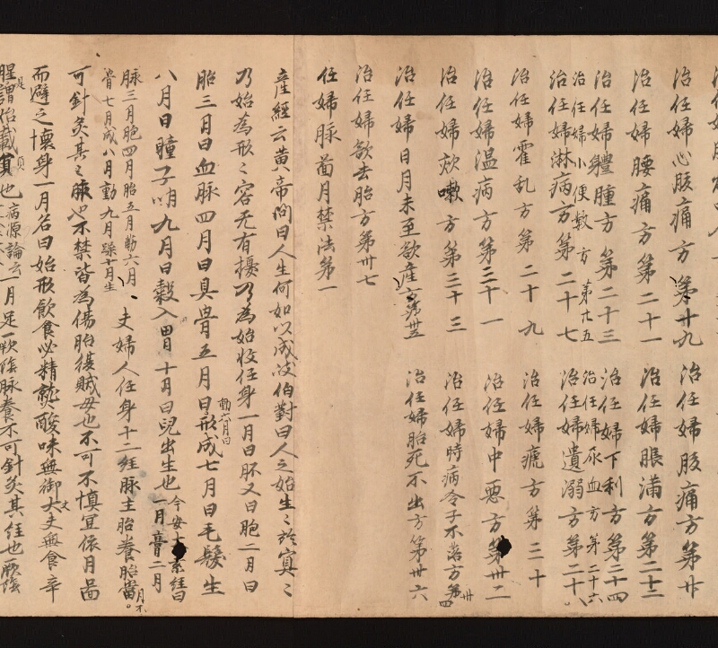 e国宝 - 医心方　巻二十二　婦人部 - ページ 3