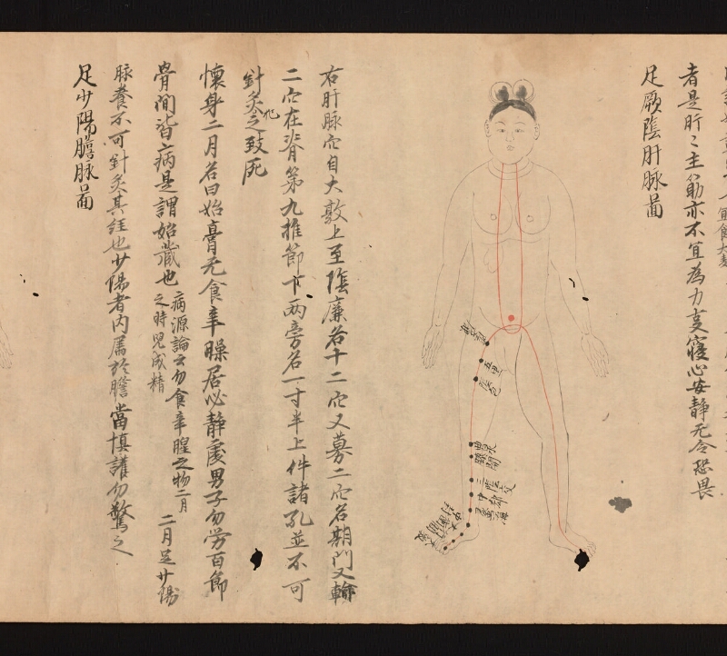 e国宝 - 医心方　巻二十二　婦人部 - ページ 4