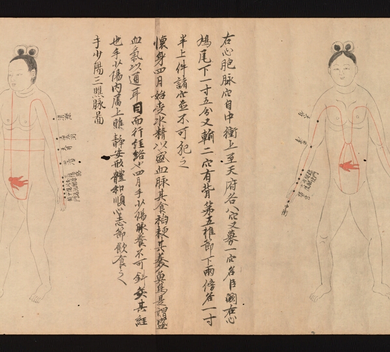 e国宝 - 医心方　巻二十二　婦人部 - ページ 6