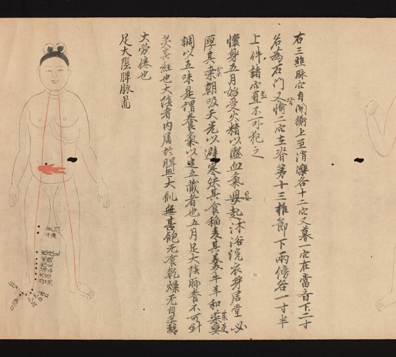 e国宝 - 医心方　巻二十二　婦人部 - ページ 7