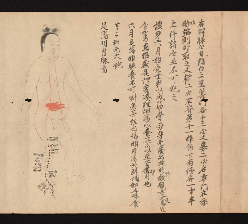 e国宝 - 医心方　巻二十二　婦人部 - ページ 8