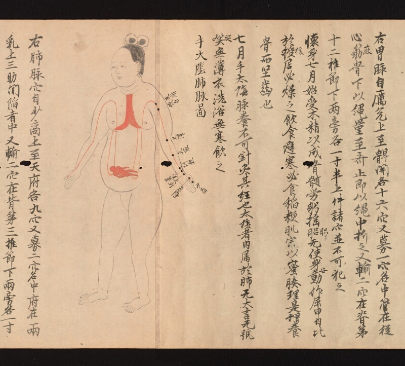 e国宝 - 医心方　巻二十二　婦人部 - ページ 9