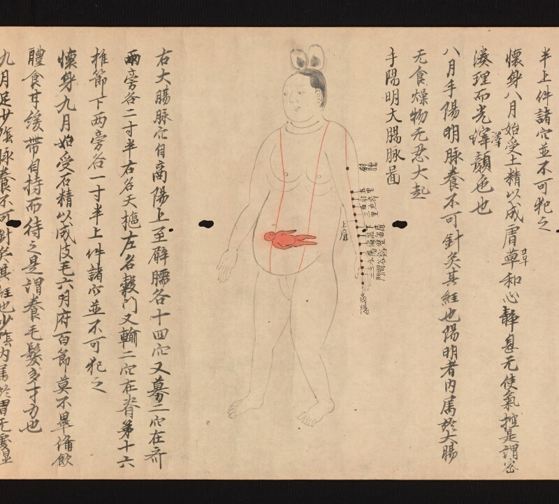 e国宝 - 医心方　巻二十二　婦人部 - ページ 10