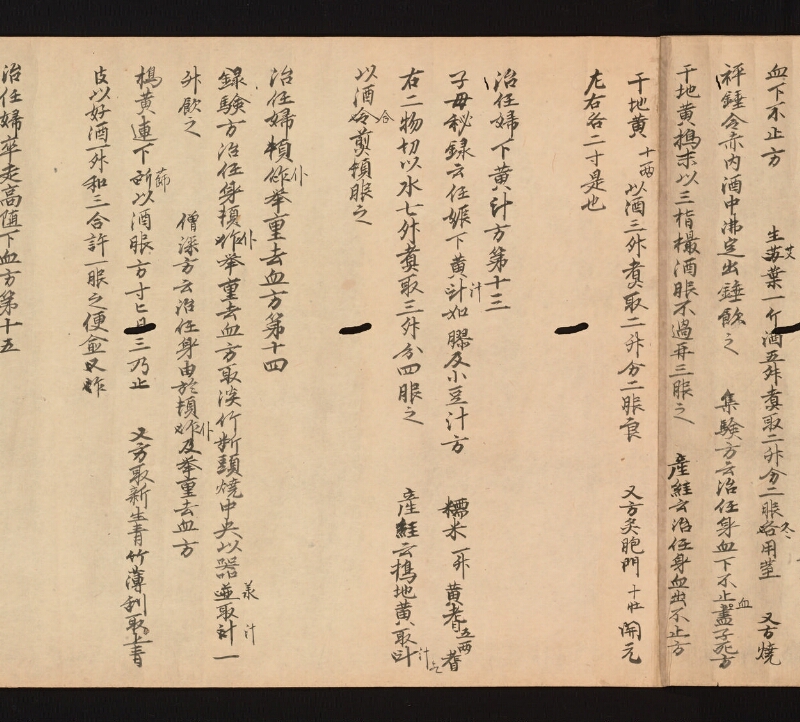e国宝 - 医心方　巻二十二　婦人部 - ページ 23