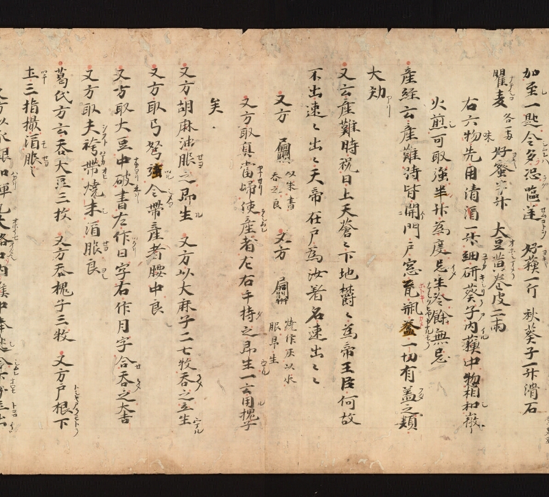 e国宝 - 医心方　巻二十三　産婦部 - ページ 13