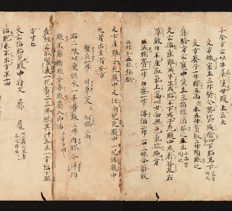 e国宝 - 医心方　巻二十三　産婦部 - ページ 18