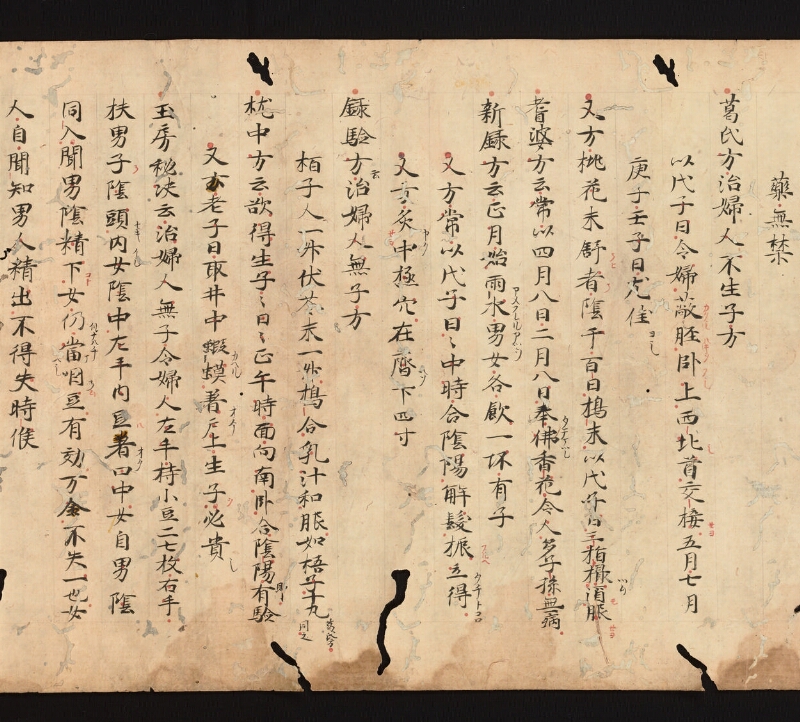 e国宝 - 医心方　巻二十四　治無子部 - ページ 6