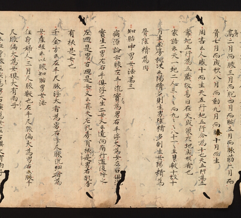 e国宝 - 医心方　巻二十四　治無子部 - ページ 8