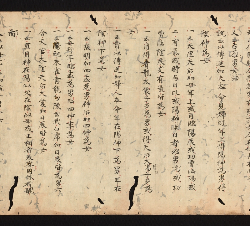 e国宝 - 医心方　巻二十四　治無子部 - ページ 9
