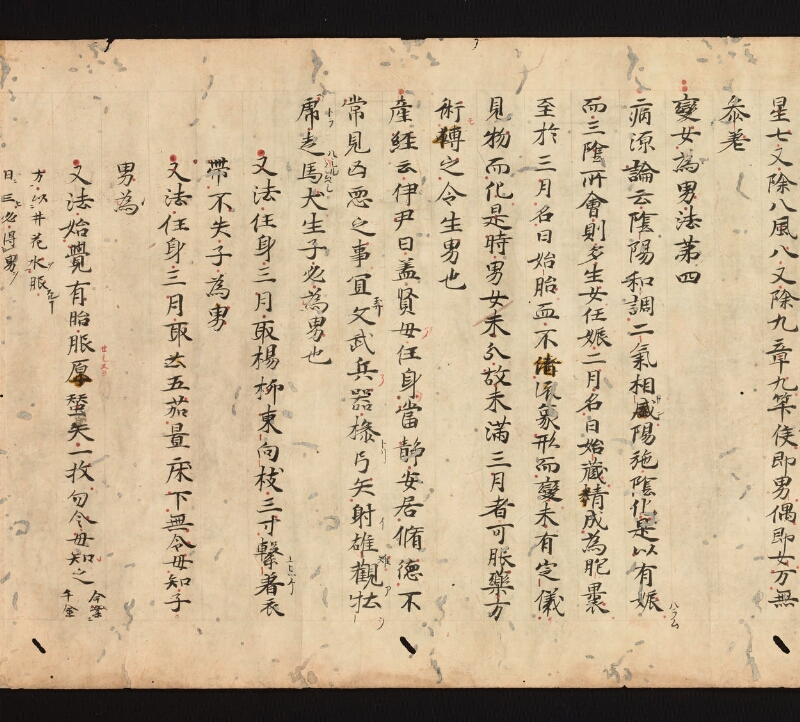 e国宝 - 医心方　巻二十四　治無子部 - ページ 11