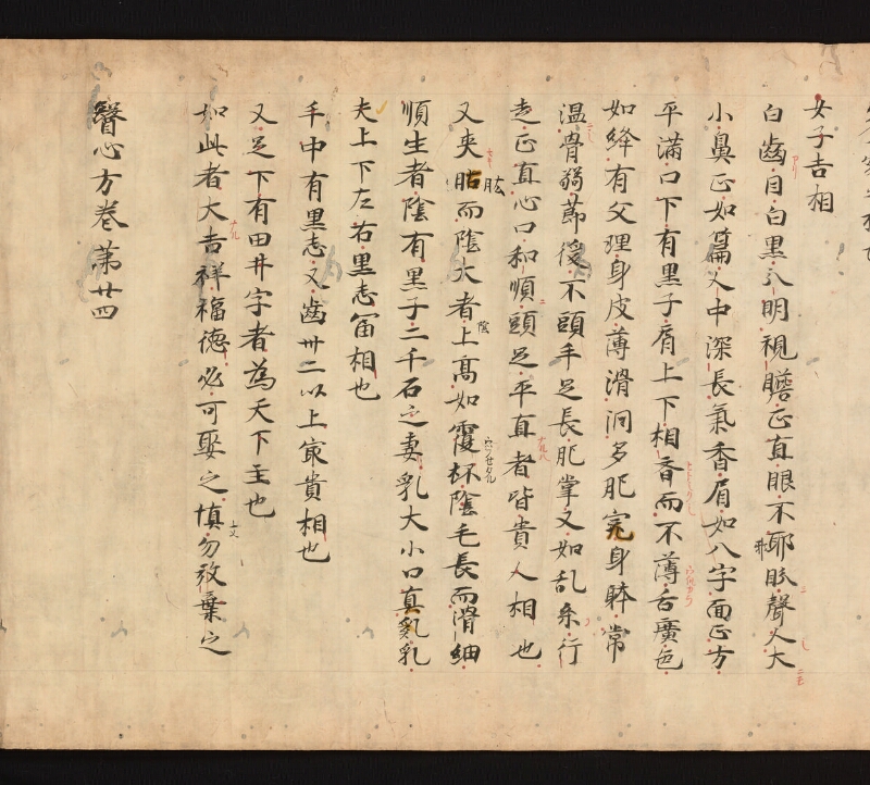 e国宝 - 医心方　巻二十四　治無子部 - ページ 37