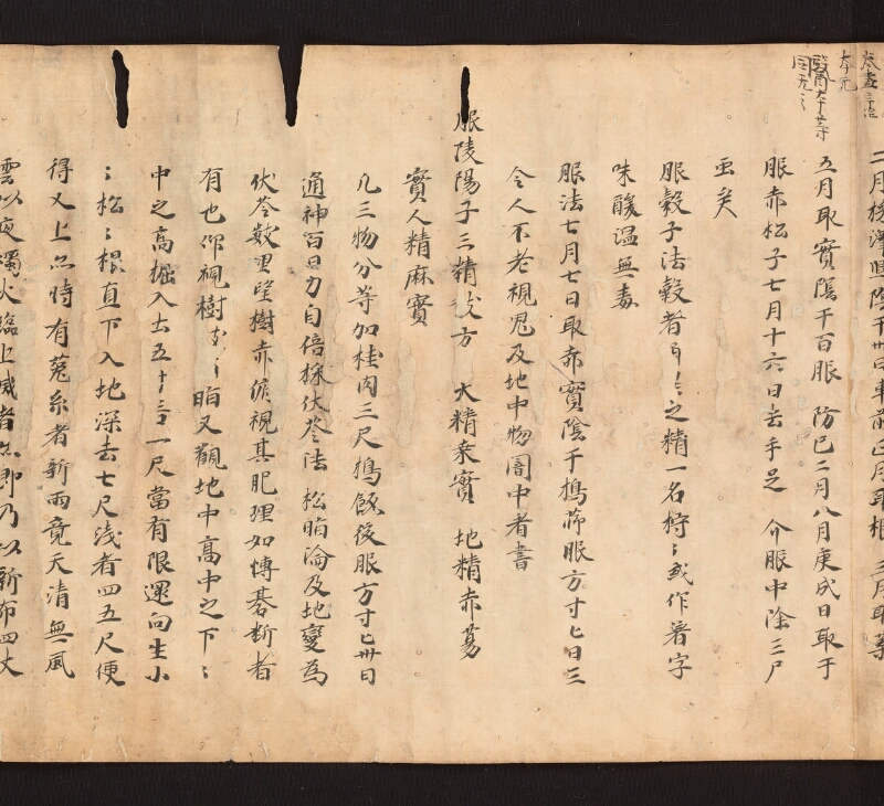 e国宝 - 医心方　巻二十六　延年部 - ページ 41