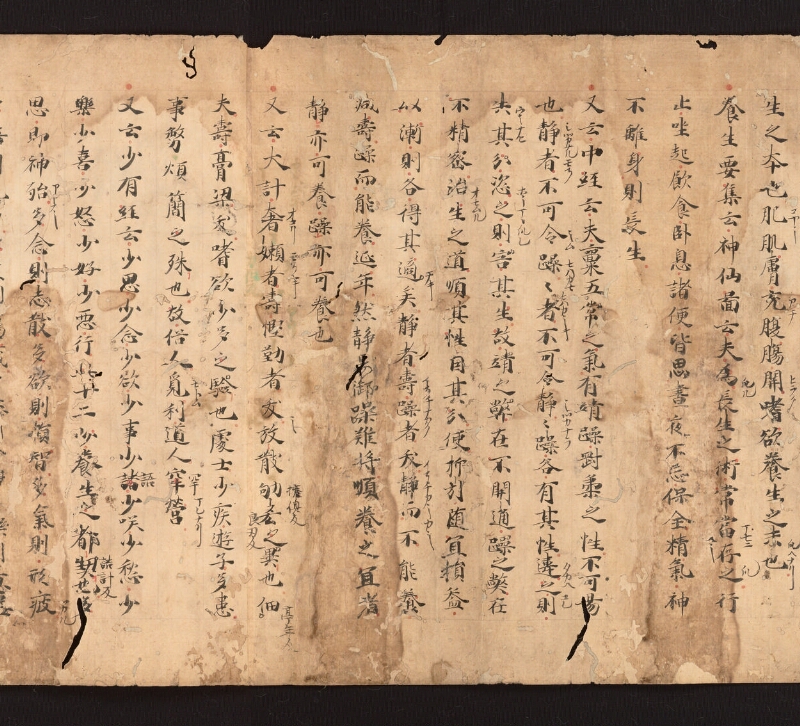 e国宝 - 医心方　巻二十七　大體羪性部 - ページ 3