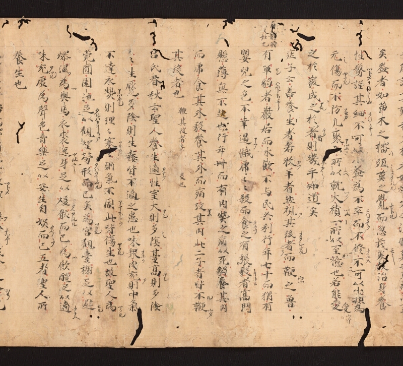 e国宝 - 医心方　巻二十七　大體羪性部 - ページ 8