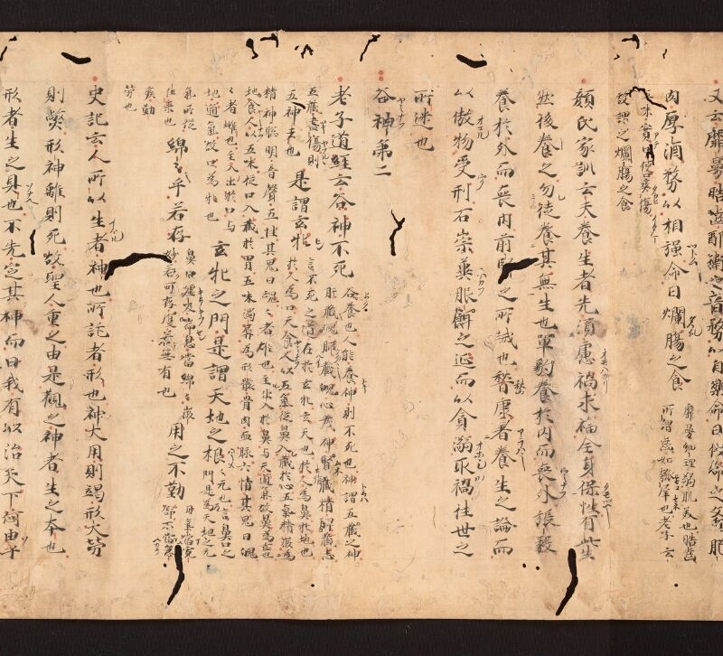 e国宝 - 医心方　巻二十七　大體羪性部 - ページ 9