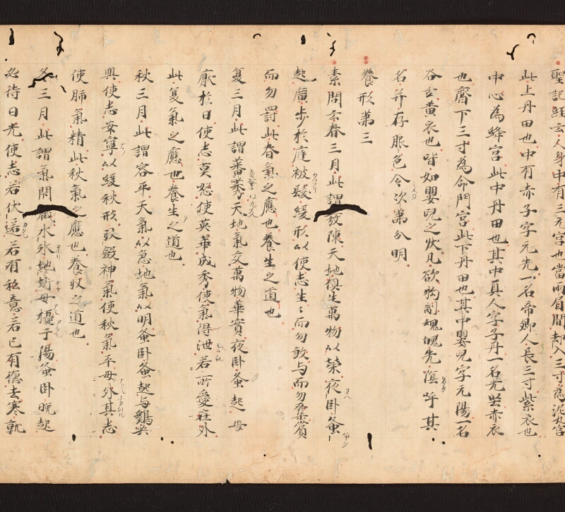 e国宝 - 医心方　巻二十七　大體羪性部 - ページ 11