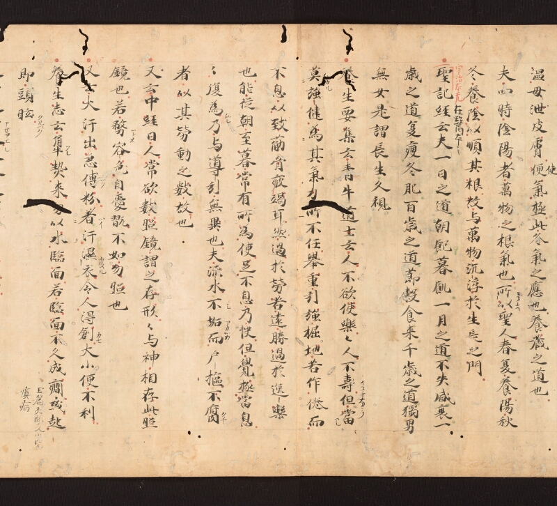 e国宝 - 医心方　巻二十七　大體羪性部 - ページ 12