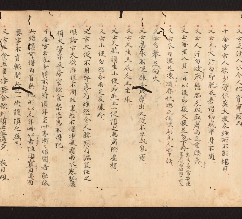 e国宝 - 医心方　巻二十七　大體羪性部 - ページ 13