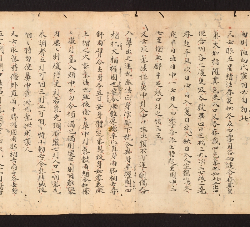 e国宝 - 医心方　巻二十七　大體羪性部 - ページ 22
