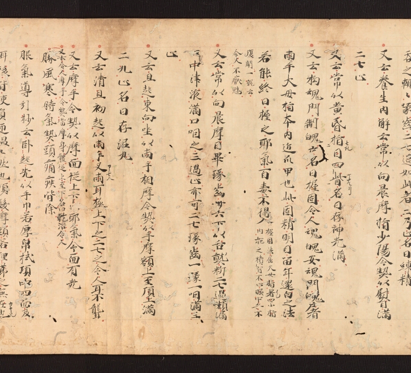 e国宝 - 医心方　巻二十七　大體羪性部 - ページ 25