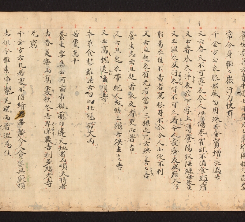 e国宝 - 医心方　巻二十七　大體羪性部 - ページ 31