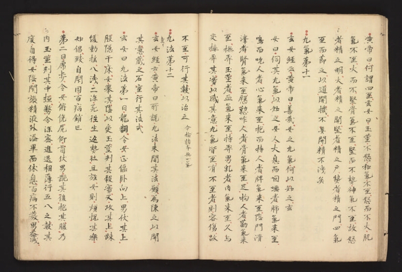 e国宝 - 医心方　巻二十八 - ページ 13