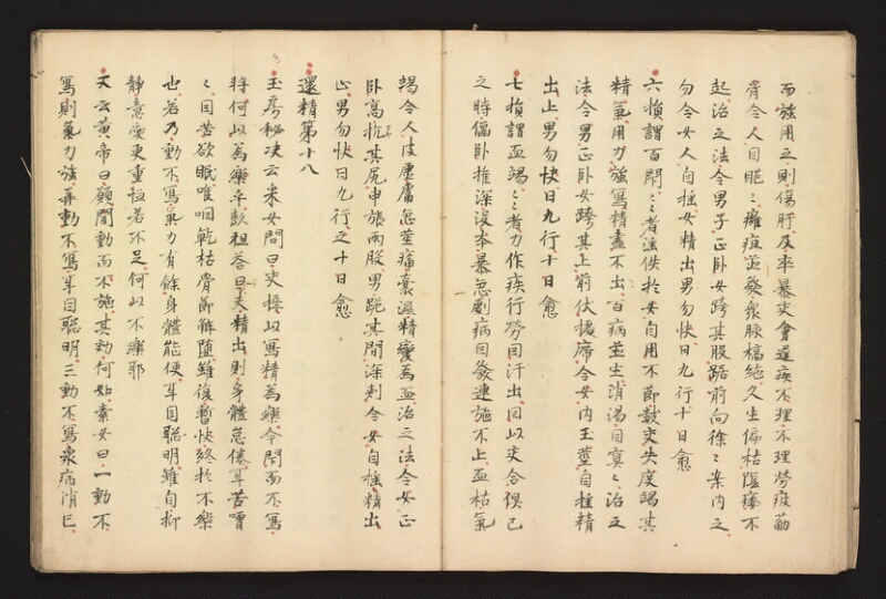 e国宝 - 医心方　巻二十八 - ページ 19
