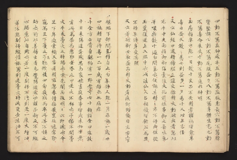 e国宝 - 医心方　巻二十八 - ページ 20