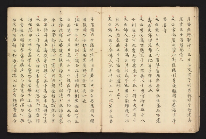 e国宝 - 医心方　巻二十八 - ページ 28