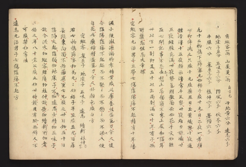 e国宝 - 医心方　巻二十八 - ページ 36