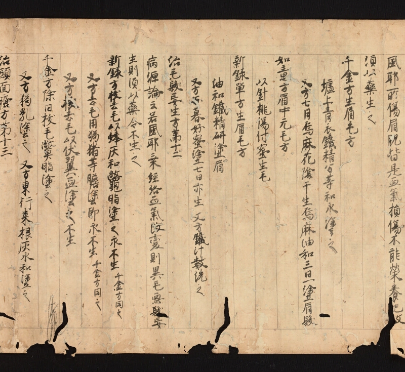 e国宝 - 医心方　巻四　鬢髪部 - ページ 12