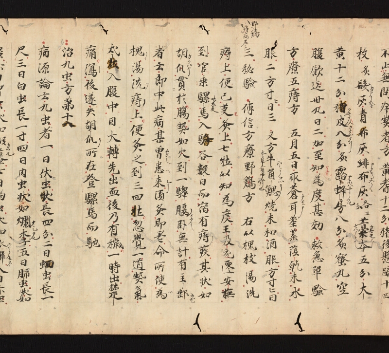 e国宝 - 医心方　巻七　隂瘡并糓道部 - ページ 22