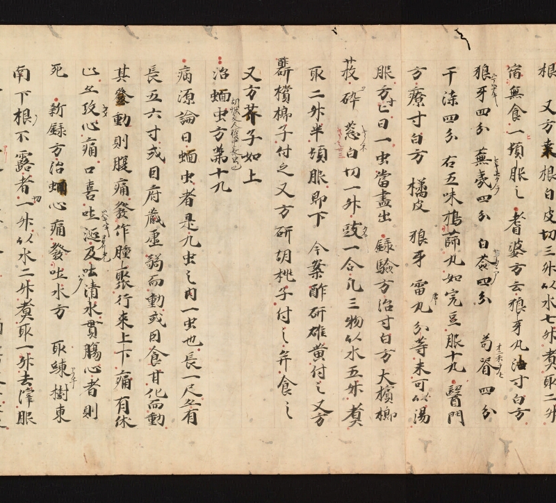 e国宝 - 医心方　巻七　隂瘡并糓道部 - ページ 25