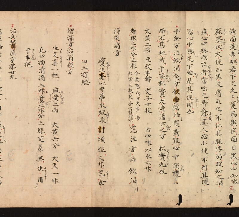 e国宝 - 医心方　巻十　積聚并水浮腫部 - ページ 43