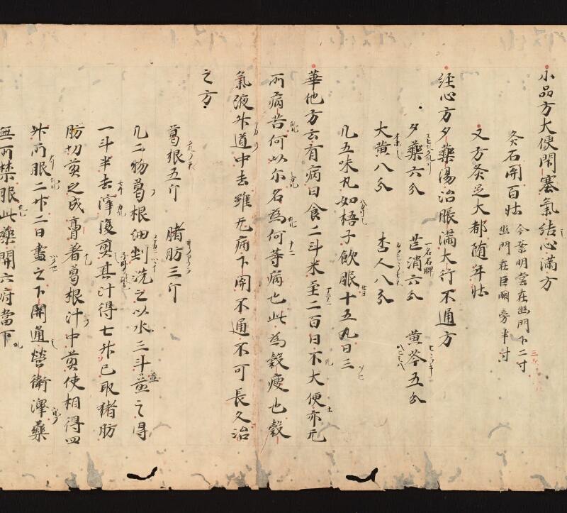e国宝 - 医心方　巻十二　消渇并大小便部 - ページ 23