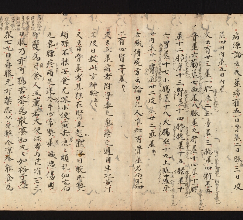 e国宝 - 医心方　巻十三　五勞七傷部 - ページ 28