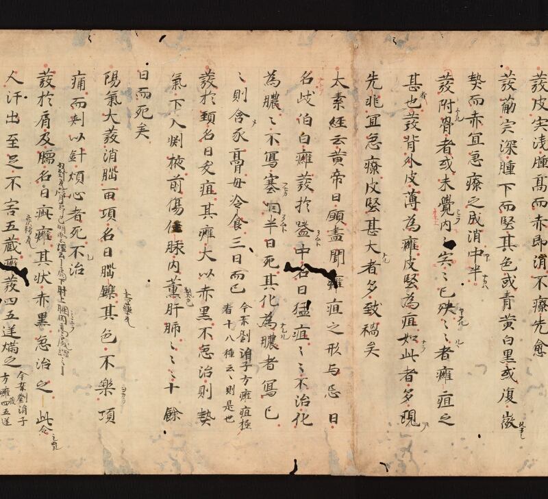e国宝 - 医心方　巻十五　癕疽部 - ページ 10
